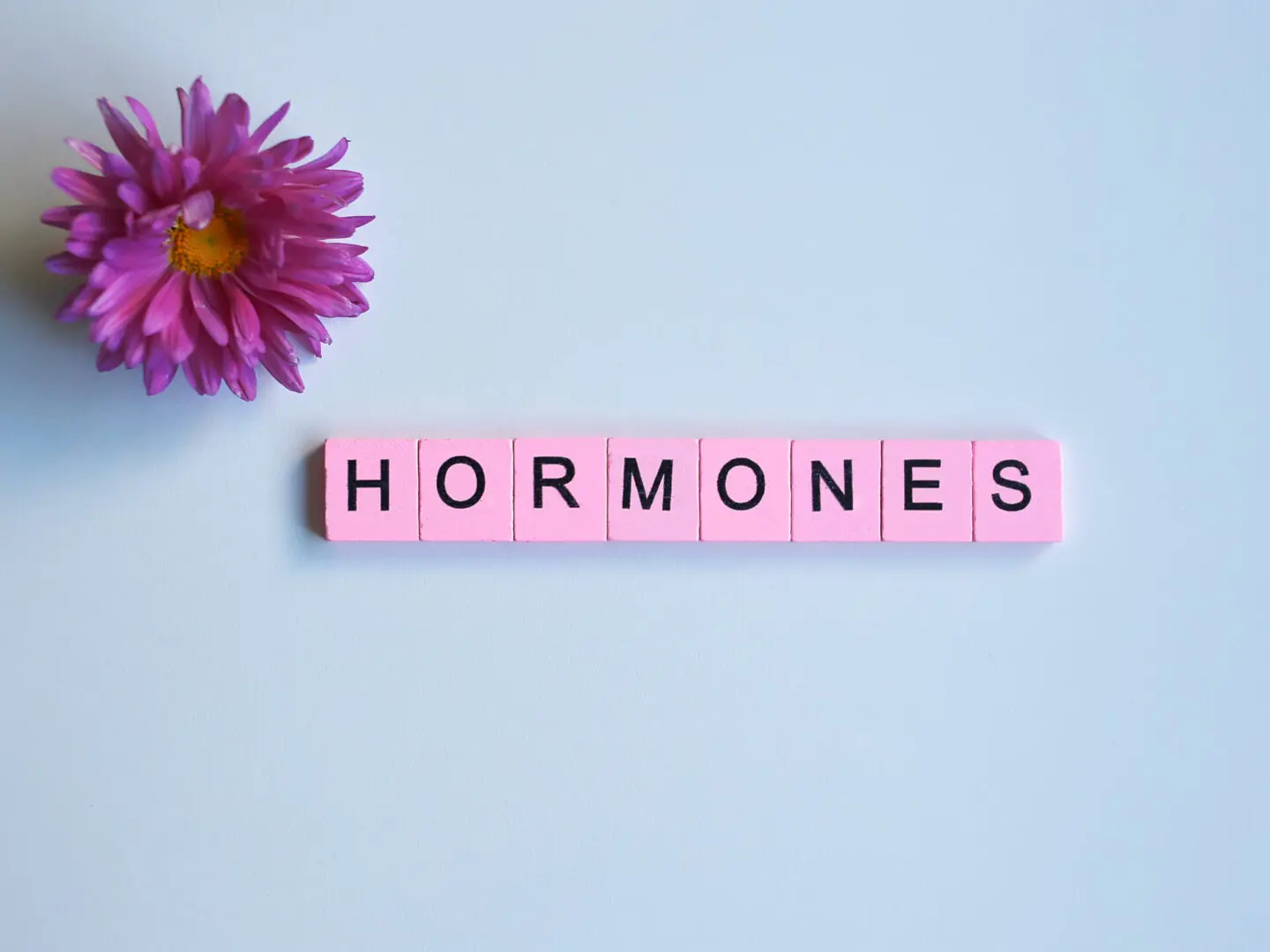 Hormones,Word,Wooden,Cubes,On,A,White,Background